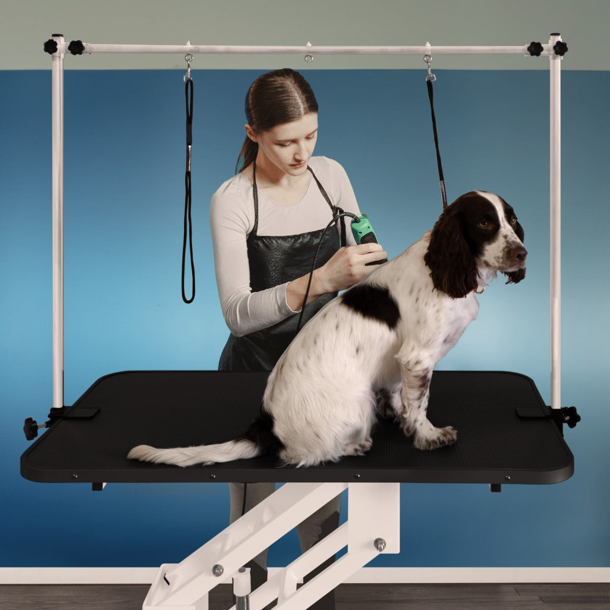 White Hydraulic Grooming Table - Black Table Top - Used - Very Good