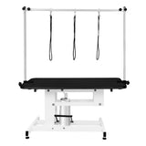 White Hydraulic Grooming Table - Black Table Top - Used - Very Good