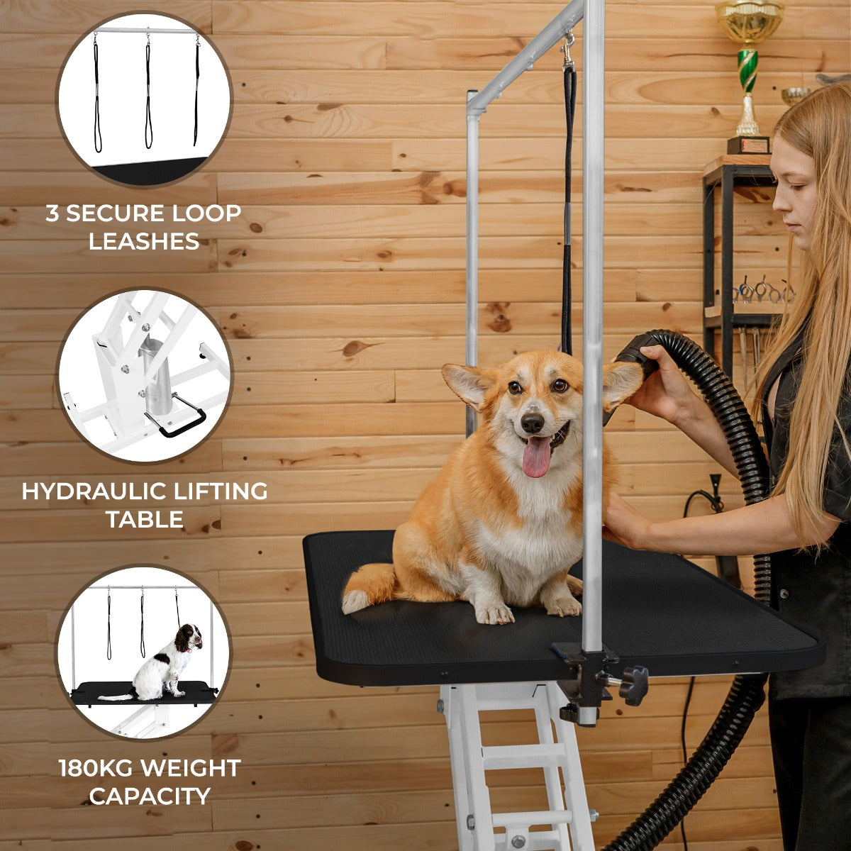 White Hydraulic Grooming Table - Black Table Top - Used - Very Good