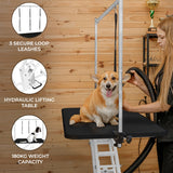 White Hydraulic Grooming Table - Black Table Top - Used - Very Good