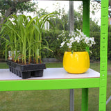 Polytunnel 19mm 3m x 2m with Racking - Used - Acceptable