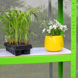 Greenhouse 6ft x 10ft With Base - Used - Good