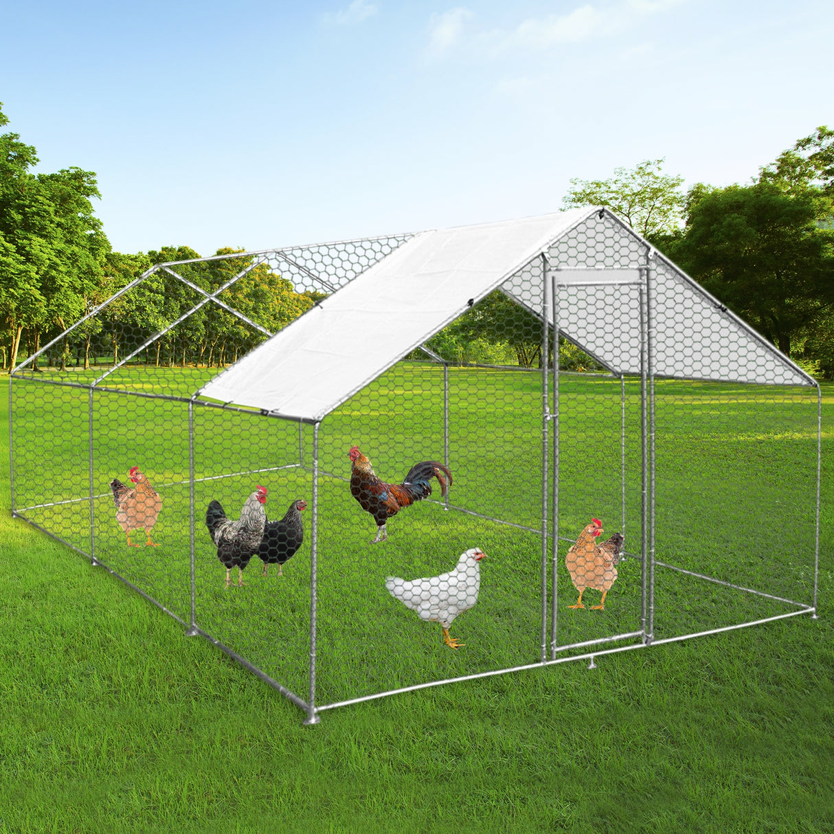 Chicken Run 4m x 6m x 2m - Used - Good