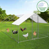 Chicken Run 4m x 6m x 2m - Used - Good