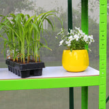Greenhouse Polycarbonate 6ft x 10ft (Green) - Used - Very Good