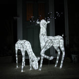 Large Light Up Stag & Doe Reindeer Set - Like New