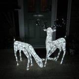 Large Light Up Stag & Doe Reindeer Set - Like New
