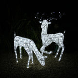 Large Light Up Stag & Doe Reindeer Set - Used - Acceptable