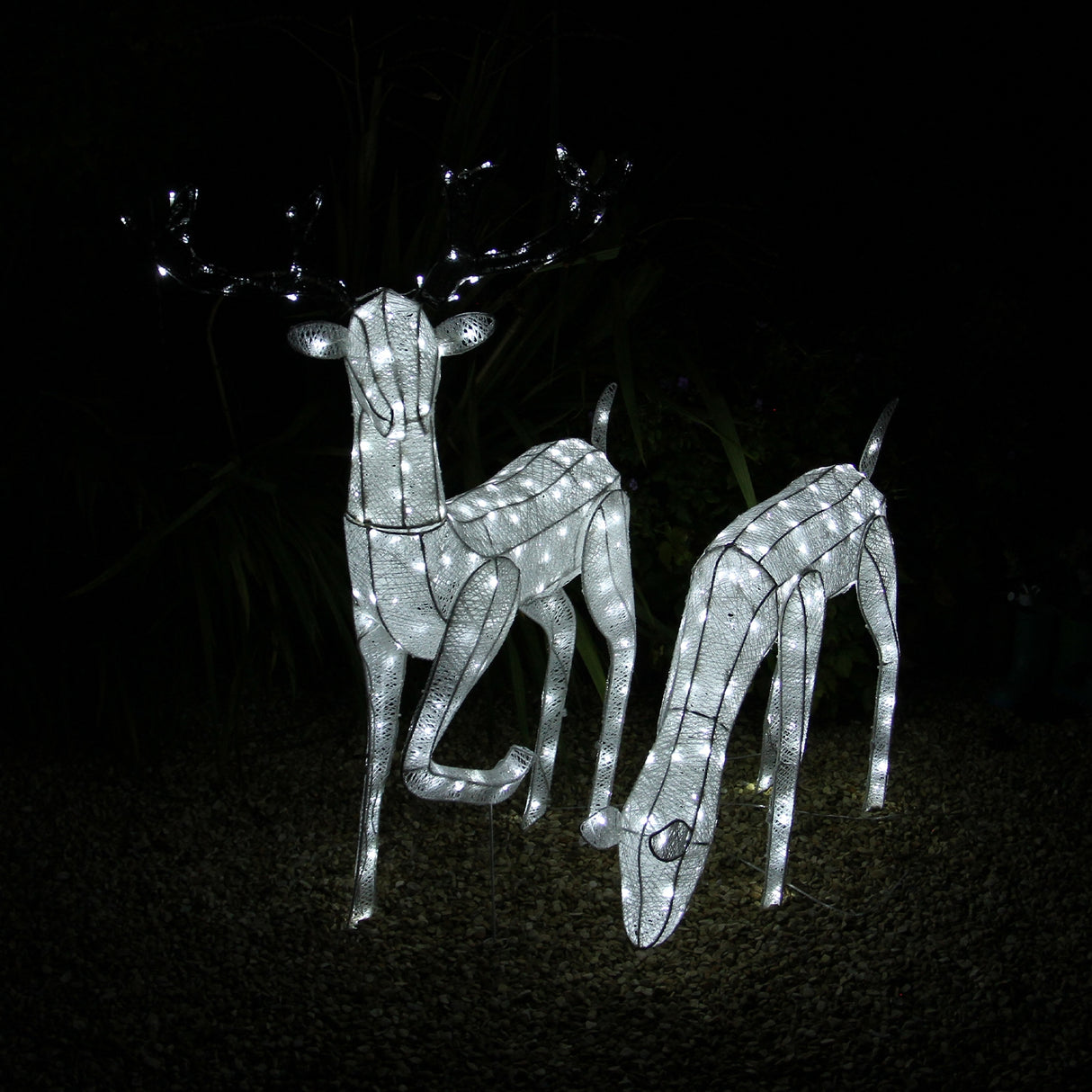 Large Light Up Stag & Doe Reindeer Set - Like New