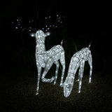 Large Light Up Stag & Doe Reindeer Set - Like New
