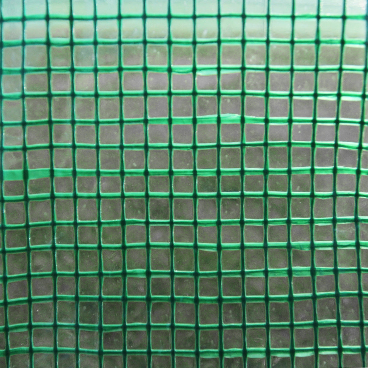 Polytunnel 25mm 6m x 3m with Racking - Used - Acceptable