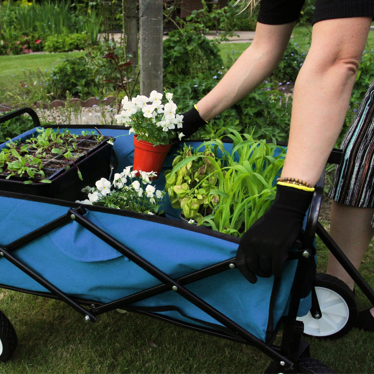 Foldable Garden Cart - Blue - Used - Very Good