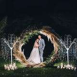 Weeping Willow Tree - 180cm White 400 Warm White LED - Used - Very Good