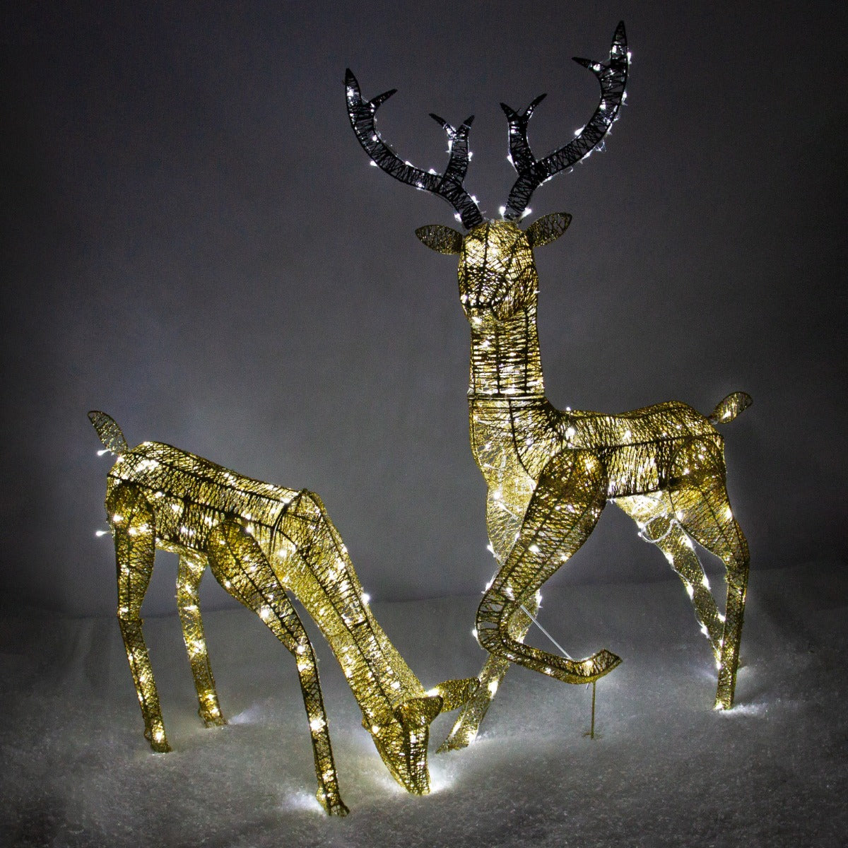 Light up Reindeer Gold Stag & Doe Set - Used - Acceptable