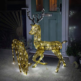 Light up Reindeer Gold Stag & Doe Set - Used - Very Good