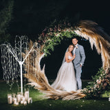 Wedding Moongate - Gold & 1 x Weeping Willow Tree 240cm Warm White - Used - Acceptable