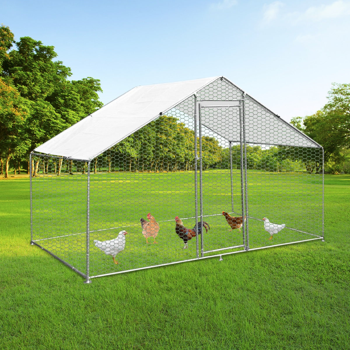 Chicken Run 4m x 2m x 2m - Used - Good