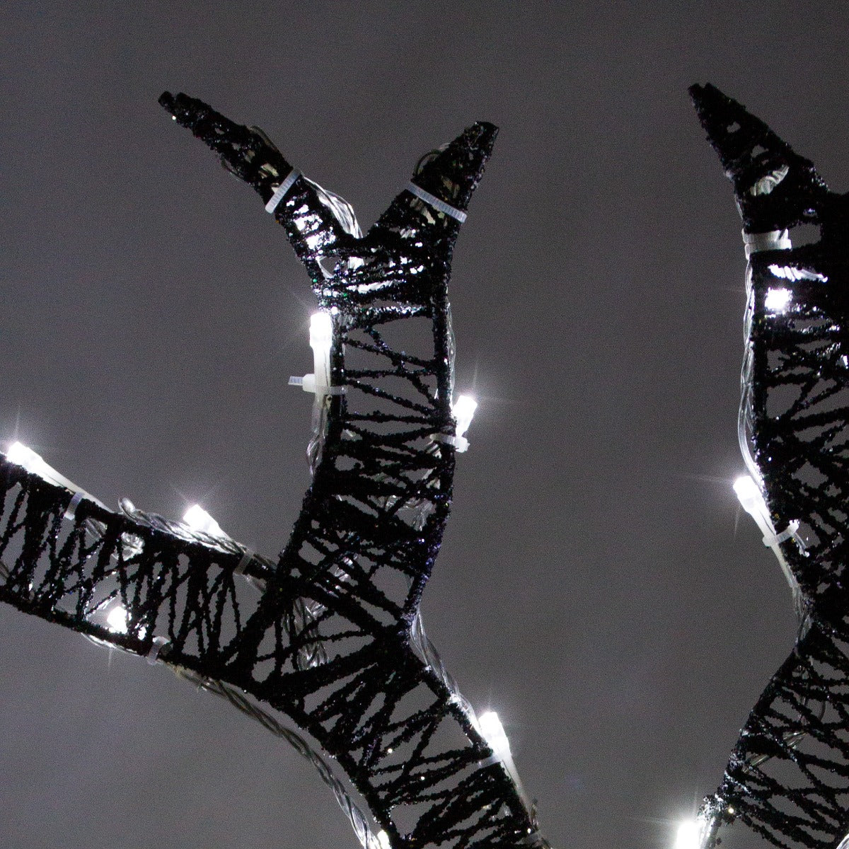 Light up Reindeer Gold Stag & Doe Set - Used - Very Good